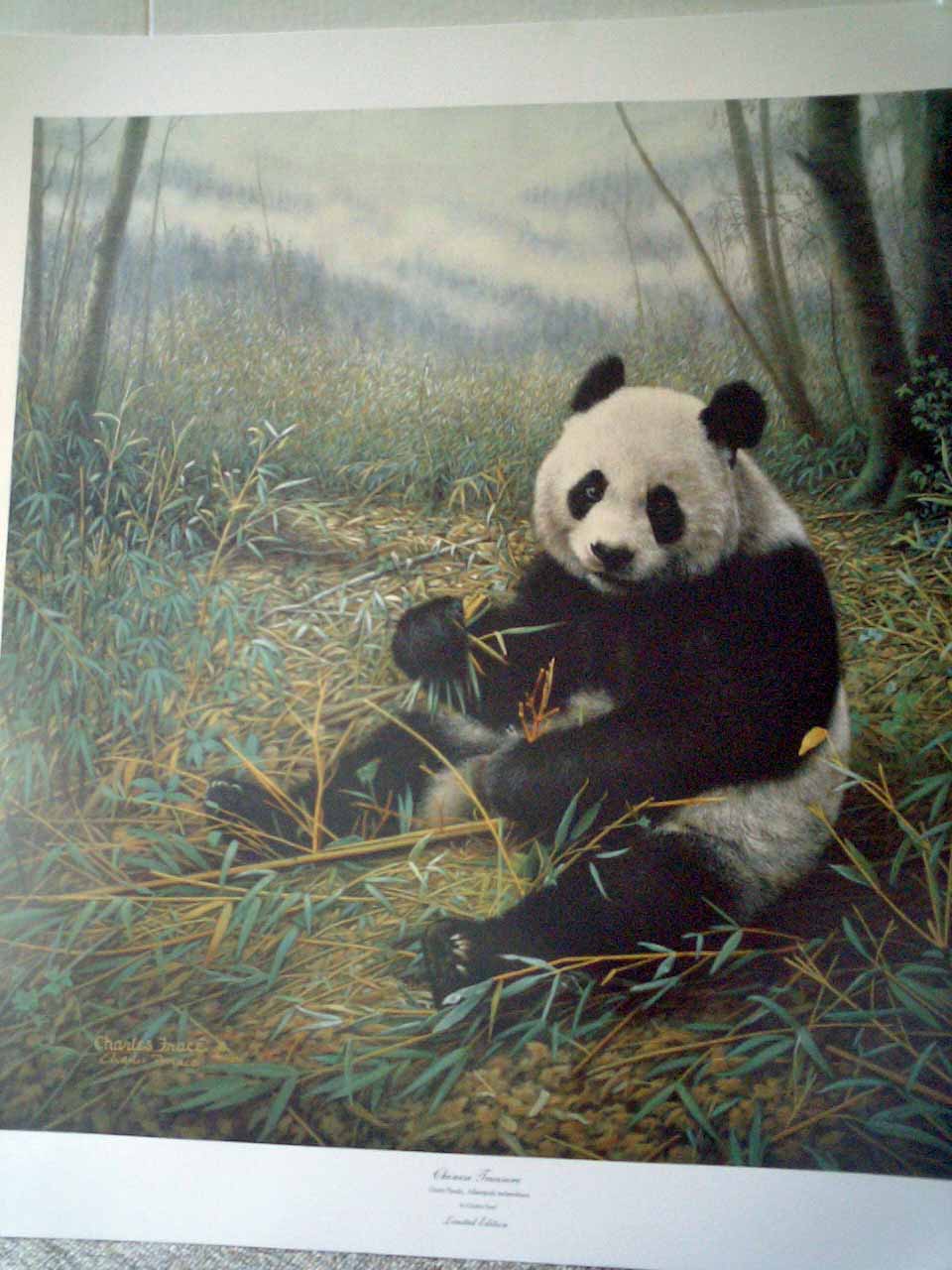 Chinese Treasure by Charles Frace Wildlife Artist